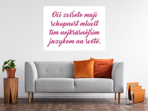 Oči zvířete nápis samolepky na zeď, Oči zvířete nápis nálepky na zeď, Oči zvířete nápis dekorace na zeď, Oči zvířete nápis samolepící nálepky na zeď