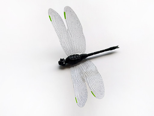 3D dekorace vážka černá, 3D samolepky na zeď vážka černá, 3D nálepky na zeď vážka černá, 3D dekorace na stěnu vážka černá
