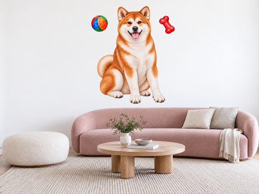 Akita inu s míčkem a kostí