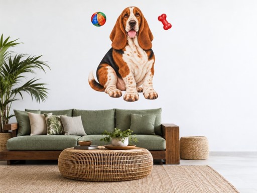 Basset hound s míčkem a kostí