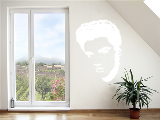 Elvis presley tvář samolepka na zeď, Elvis presley tvář nálepky na zeď, Elvis presley tvář dekorace na stěnu, Elvis presley tvář samolepící dekor na stěny, Elvis presley tvář samolepící tapety na zeď