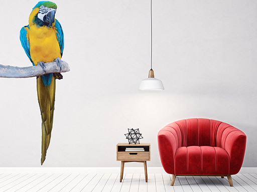 Papoušek samolepka na zeď, Papoušek nálepky na zeď, Papoušek dekorace na stěnu, Papoušek samolepící dekor na stěny, Papoušek samolepící tapety na zeď