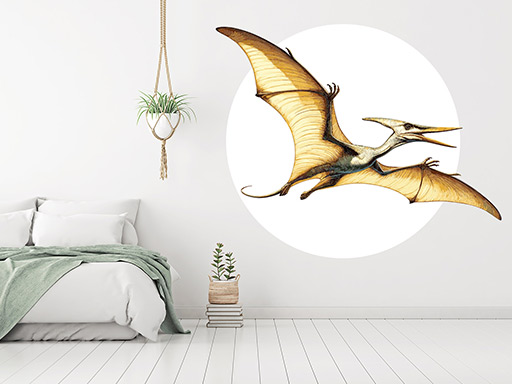 Pterodactyl samolepky na zeď, Pterodaktyl dinosaurus samolepka na stěnu, Pterodactyl nálepky na zeď, Pterodactyl nálepky na stěnu