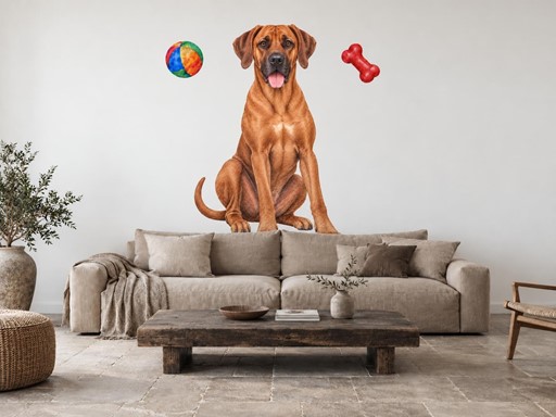 Rhodéský ridgeback s míčkem a kostí