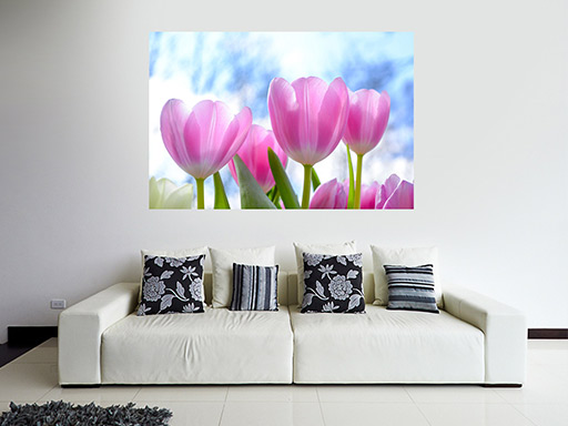Růžové tulipány samolepka na zeď, Růžové tulipány plakát na zeď, Růžové tulipány plakát dekorace na zeď, Růžové tulipány plakát na stěnu, Růžové tulipány plakát na zeď