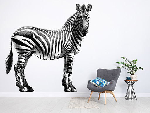 Zebra samolepka na zeď, Zebra nálepky na zeď, Zebra dekorace na stěnu, Zebra samolepící dekor na stěny, Zebra samolepící tapety na zeď