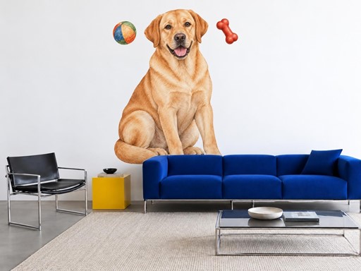 Zlatý labrador s míčkem a kostí