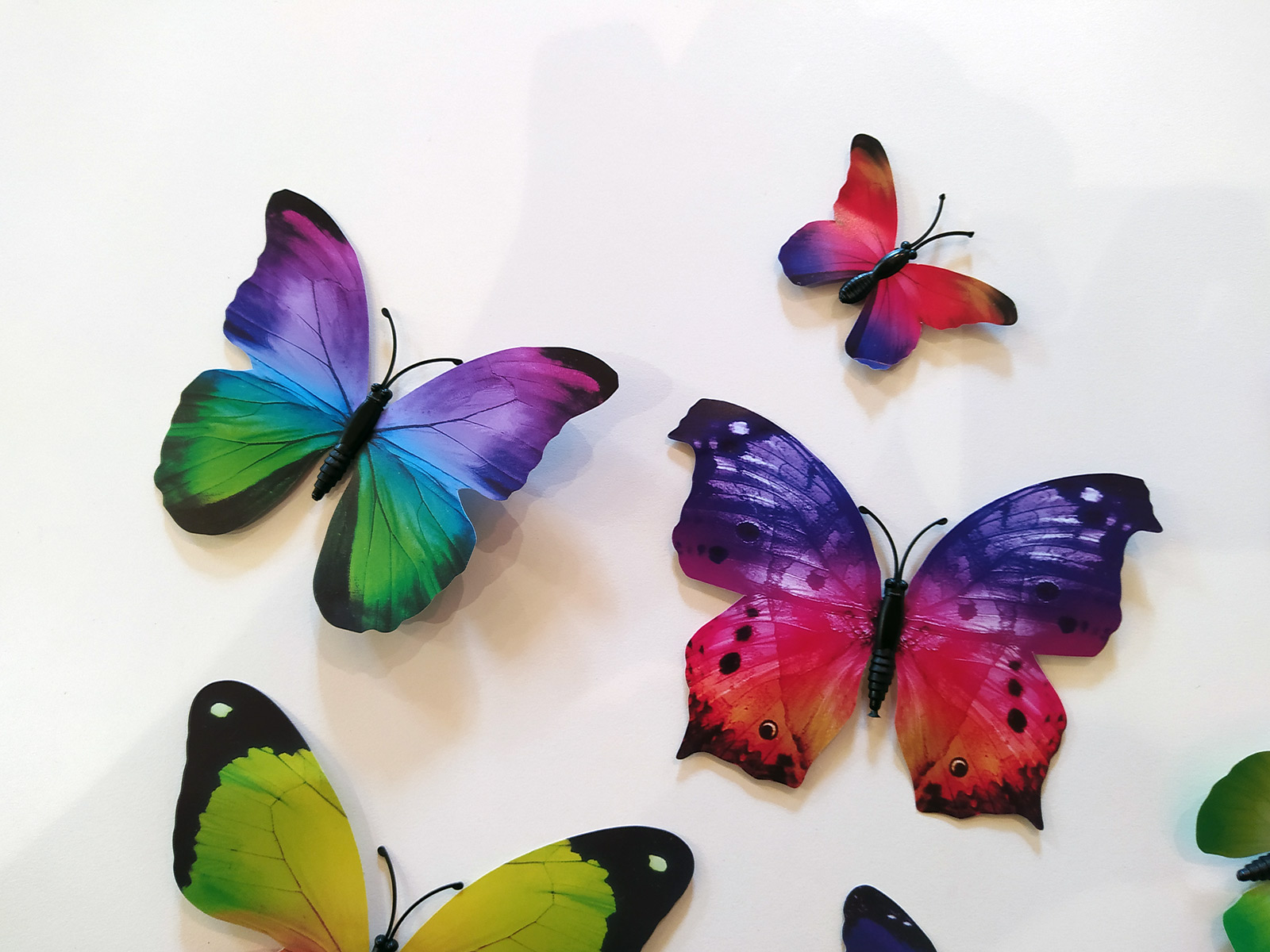 3D dekorace motýli pestří, 3D samolepky na zeď motýli pestrá, 3D nálepky na zeď motýlci pestří, 3D dekorace na stěnu motýlci pestrá