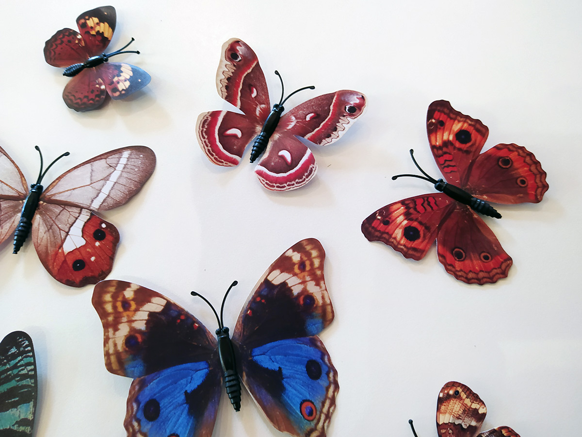 3D dekorace motýli mnohobarevní, 3D samolepky na zeď motýli mnohobarevní, 3D nálepky na zeď motýlci mnohobarevní, 3D dekorace na stěnu motýlci mnohobarevní